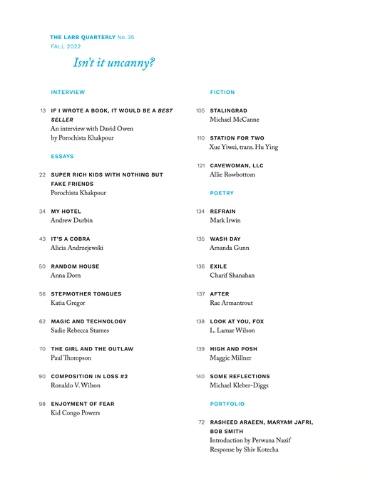 LARB Quarterly, no. 35: Isn't it uncanny?