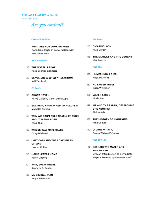 LARB Quarterly, no. 36: Are you content?