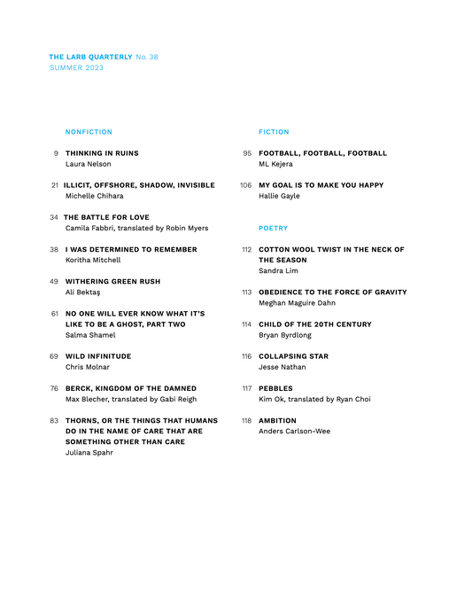 LARB Quarterly, no. 38: Earth