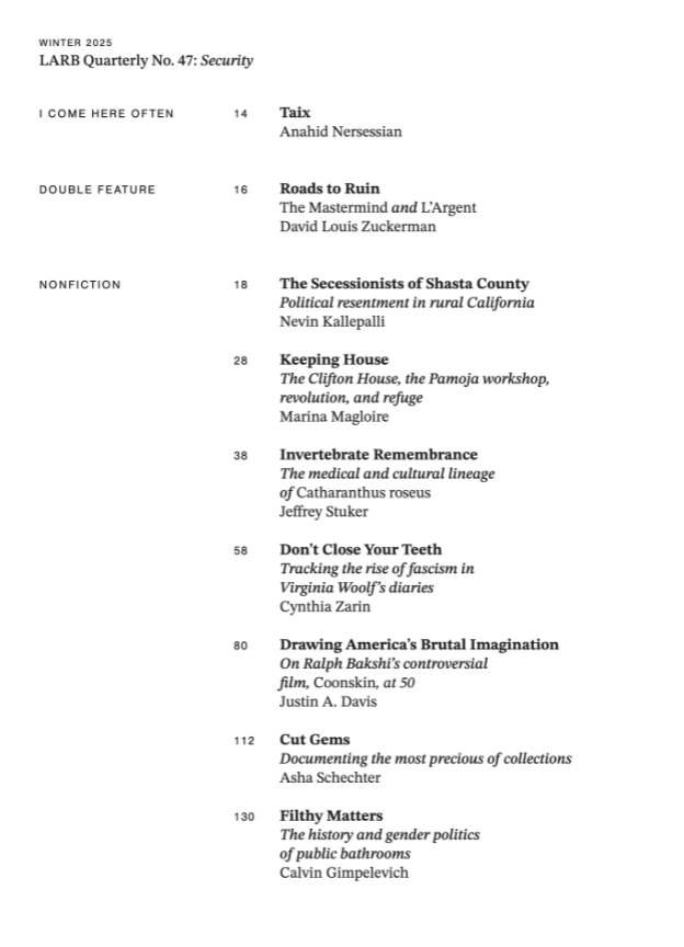 LARB Quarterly, no. 47: Security
